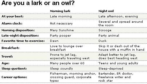 Lark or Owl?